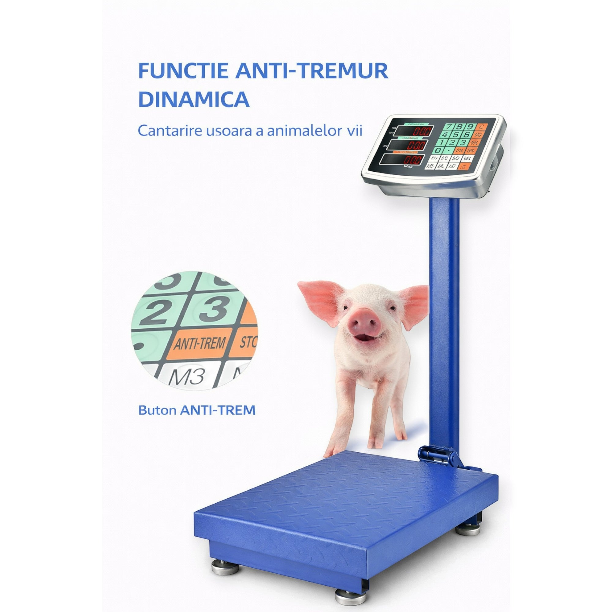Cantar electronic cu platforma 350 kg, brat rabatabil, afisaj LCD, baterie interna