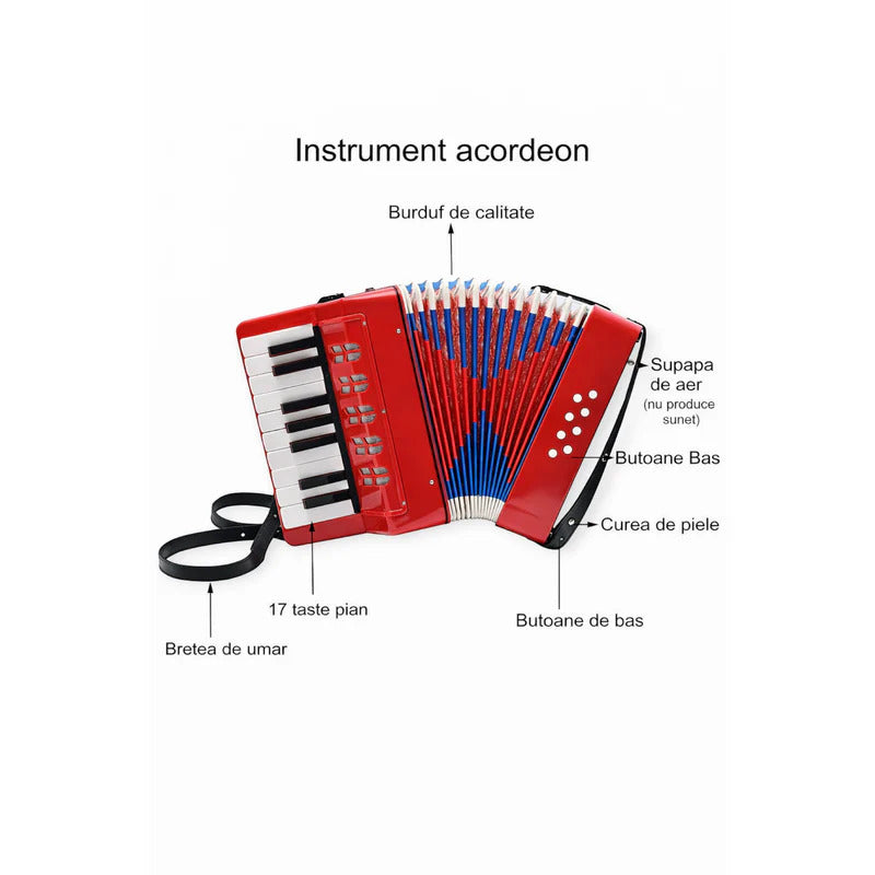Acordeon pentru incepatori si copii, 17 clape, 8 butoane bass, 30 cm